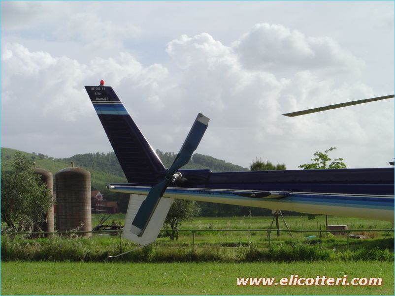 elifoto (91)